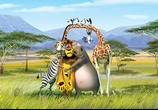 Мультфильм Мадагаскар 2 / Madagascar: Escape 2 Africa (2008) - cцена 3