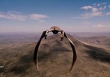 ТВ Динозавры. Гиганты Патагонии / Dinosaurs: Giants of Patagonia (2007) - cцена 4