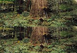 ТВ Путешествие по национальным паркам 3D / National Parks Adventure (2016) - cцена 6