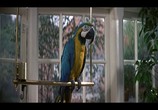 Фильм Джеймс Бонд - 007 : Искры из глаз / The Living Daylights (1987) - cцена 7