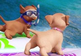 Мультфильм Барби и её сестры в погоне за щенками / Barbie & Her Sisters in a Puppy Chase (2016) - cцена 2