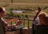 Фильм Летите домой / Fly Away Home (1996) - cцена 2