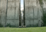 Фильм Бегущий в лабиринте / The Maze Runner (2014) - cцена 1