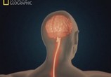 ТВ National Geographic: Правда о зомби / The truth behind zombies (2010) - cцена 5