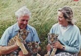 ТВ Тигриный остров / Tiger Island (2007) - cцена 2