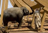 Фильм Эван Всемогущий / Evan Almighty (2007) - cцена 6