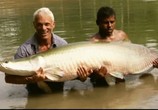ТВ Discovery Channel: Animal Planet: Речные монстры / River monsters (2009) - cцена 1