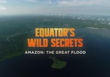 ТВ Необычная природа экватора / Equator's Wild Secrets (2019) - cцена 6