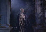 Фильм Оргия мертвецов / Orgy of the Dead (1965) - cцена 4