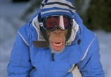 Фильм Король сноуборда / MXP: Most Xtreme Primate (2004) - cцена 3