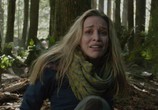 Сцена из фильма Гризли / Into the Grizzly Maze (2014) Гризли сцена 11