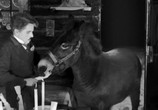 Фильм Золотая лихорадка / The Gold Rush (1925) - cцена 4