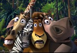 Мультфильм Мадагаскар / Madagascar (2005) - cцена 2