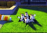 Мультфильм Мадагаскар / Madagascar (2005) - cцена 3
