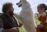 Сцена из фильма Чудак / Oddball (2015) Чудак сцена 15