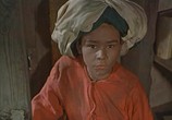 Фильм Приключения маленького Мука  / Die Geschichte vom kleinen Muck (1953) - cцена 2