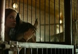 Фильм Команда мечты (2019) - cцена 2