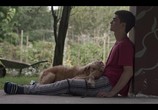 Фильм Семнадцать / Diecisiete (2019) - cцена 1