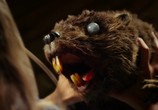 Фильм Бобры-зомби / Zombeavers (2014) - cцена 8