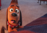 Мультфильм Собачий холод / The Dog Days of Winter (2019) - cцена 2