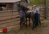 Фильм Флика 2 / Flicka 2 (2010) - cцена 1