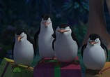 Мультфильм Рождественский Мадагаскар / Merry Madagascar (2009) - cцена 5