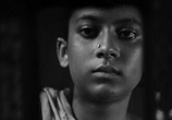 Фильм Песнь дороги / Pather Panchali (1955) - cцена 3