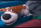 Мультфильм Тайная жизнь домашних животных 2 / The Secret Life of Pets 2 (2019) - cцена 3