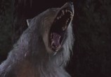 Фильм Зловещая луна / Bad Moon (1996) - cцена 8