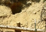 ТВ Возрождение прииска / Lost Mines: Restored (2020) - cцена 2