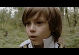 Фильм Путь прорастания травинки (2017) - cцена 3