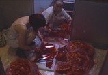 Фильм Холодная рыба / Tsumetai nettaigyo (2010) - cцена 2