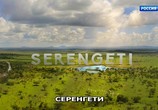 ТВ Серенгети / Serengeti (2019) - cцена 1
