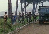 Сцена из фильма Да здравствует тюлень! / W la foca (1982) Да здравствует тюлень! сцена 13