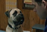 Фильм Голоса / The Voices (2014) - cцена 7