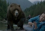 Фильм Гризли / Into the Grizzly Maze (2014) - cцена 4
