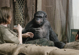Фильм Планета обезьян: Революция / Dawn of the Planet of the Apes (2014) - cцена 4
