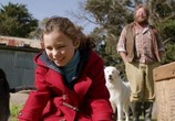 Сцена из фильма Чудак / Oddball (2015) Чудак сцена 13