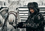 Фильм Хранители Алтая (2018) - cцена 8