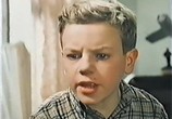 Фильм Дым в лесу (1955) - cцена 1