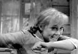 Фильм Девчата (1961) - cцена 4