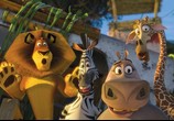 Мультфильм Мадагаскар 2 / Madagascar: Escape 2 Africa (2008) - cцена 2