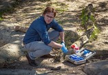 Сериал Зоо-апокалипсис / Zoo (2015) - cцена 5