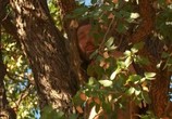 ТВ Голые, напуганные и одинокие / Naked And Afraid: Alone (2019) - cцена 2