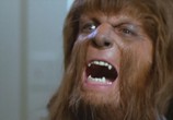 Фильм Волчонок / Teen Wolf (1985) - cцена 3