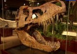 ТВ Правда и вымысел. Парк Юрского периода / Truth and fiction. Jurassic Park (2013) - cцена 3