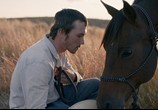 Фильм Наездник / The Rider (2018) - cцена 3