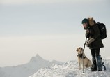 Фильм Между нами горы / The Mountain Between Us (2017) - cцена 4