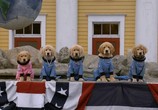 Фильм Космические друзья / Space Buddies (2009) - cцена 3