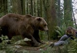 Сцена из фильма Гризли / Into the Grizzly Maze (2014) Гризли сцена 12
